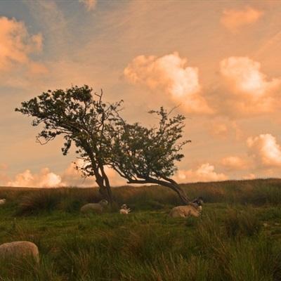 leyu乐鱼·体育app下载截图